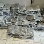 Λιμεναρχείο Πειραιά: Κατέσχεσε 219 κιλά κάνναβης skunk, αξίας άνω των 750.000 ευρώ