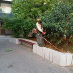 Πειραιάς: Κλαδεύσεις και νέες φυτεύσεις σε Καμίνια και Παλαιά Κοκκινιά